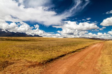 Yol tahıl alanları