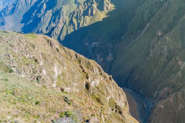 Peru 'daki Colca Kanyonu 