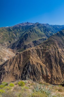 colca Kanyonu, peru