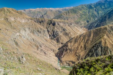 colca Kanyonu, peru