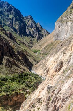 Peru 'daki Colca Kanyonu