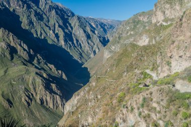 Peru 'daki Colca Kanyonu