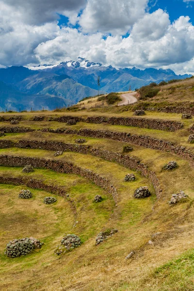 Terrazas agrícolas de Moray — Foto de Stock