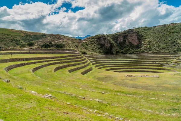 Mezőgazdasági teraszos a Moray — Stock Fotó