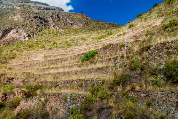 Terrazas agrícolas del antiguo Inca — Foto de Stock