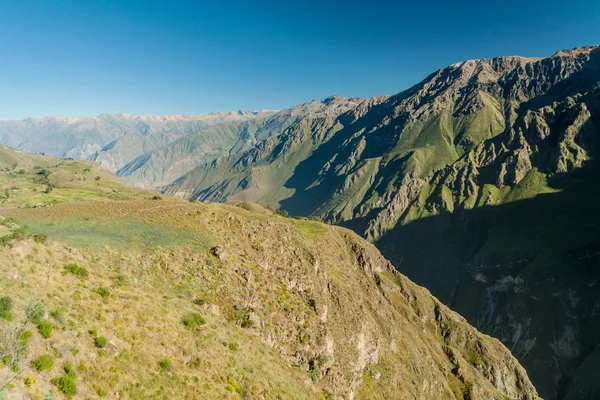 Cañón del Colca en Perú — Foto de Stock