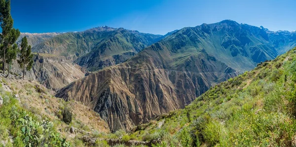 Canyon di Colca in Perù — Foto Stock