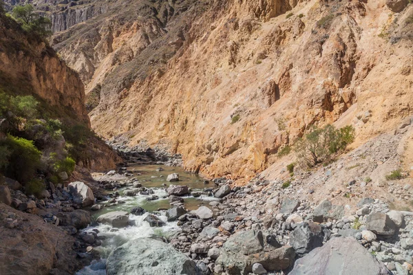 River in Colca canyon — Stock Photo, Image