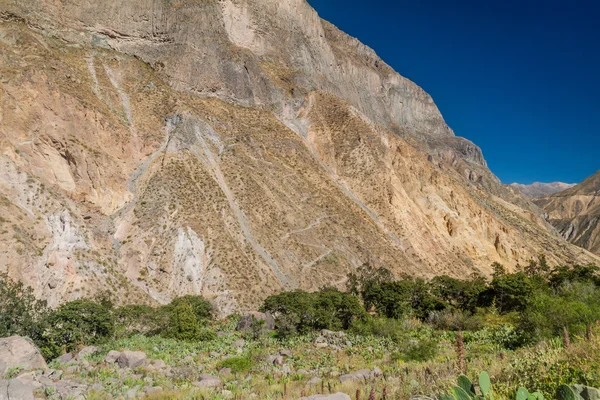 Percorso a zig zag — Foto Stock