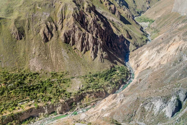 Cañón del Colca en Perú — Foto de Stock