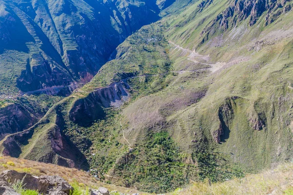 Cañón del Colca en Perú — Foto de Stock