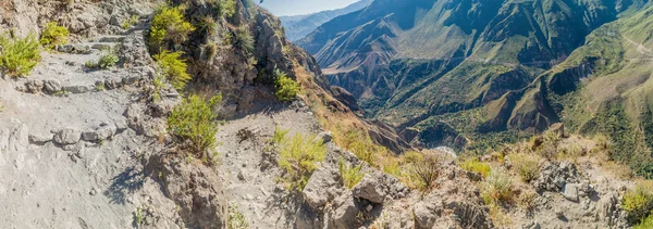 Camino en el cañón del Colca — Foto de Stock