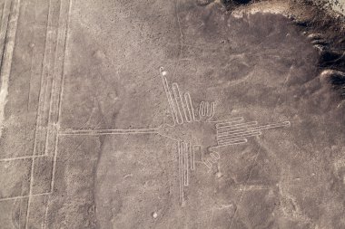 Nazca çizgileri, sinek kuşu figürü görünür