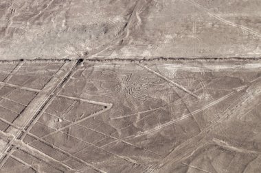Nazca Linesnazca çizgileri, örümcek figürü görünür