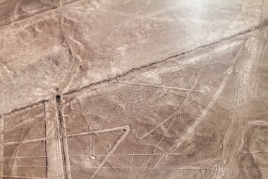 Peru'daki Nazca çizgileri