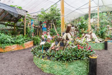 İnsanlar Mariposario (kelebek ev ziyaret)
