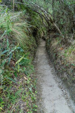 Laguna Cuicocha Gölü çevresinde turistik iz
