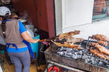 kavrulmuş eskiden şiling şimdi pigs