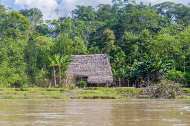Perulu bir ormanda küçük ev