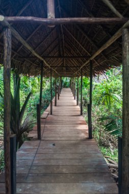 Amazon hayvan yetimhane Pilpintuwasi