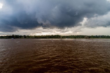 Brezilya'da Amazon nehri