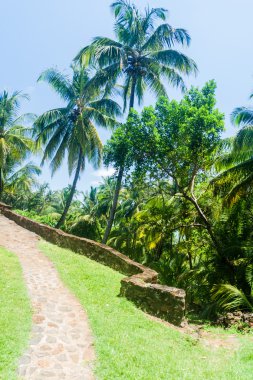 Ile Royale görünümü