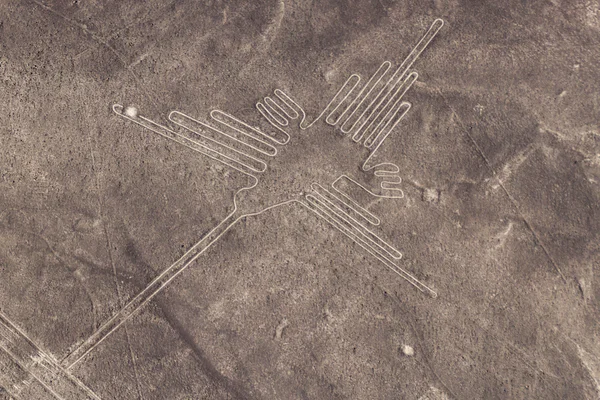 Nazca Lines in Peru — Stock Photo, Image