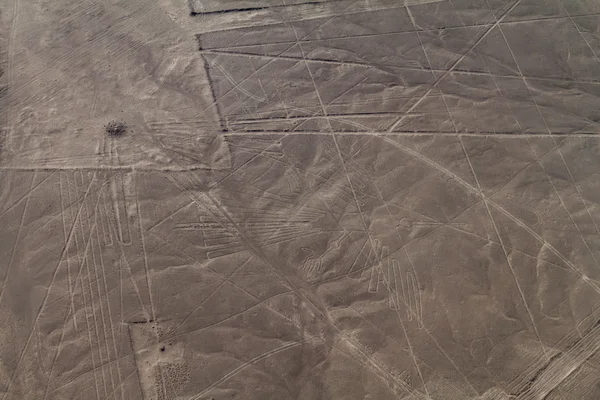 Planině Nazca v Peru — Stock fotografie