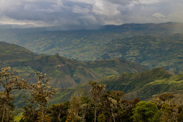 Countryside in cloud forest mountains