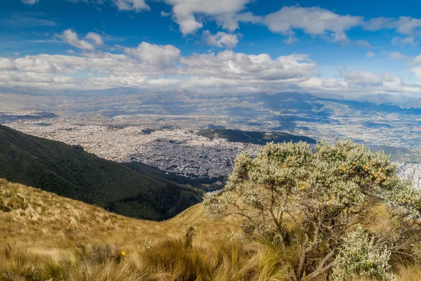 Luftaufnahme des Quitos — Stockfoto