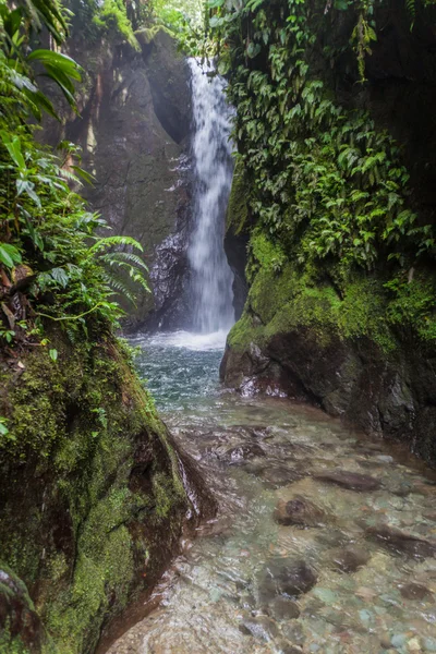 Malý vodopád v Nambillo Cloud Forest Reserve — Stock fotografie