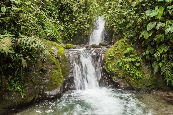 Malý vodopád v Nambillo Cloud Forest Reserve — Stock fotografie