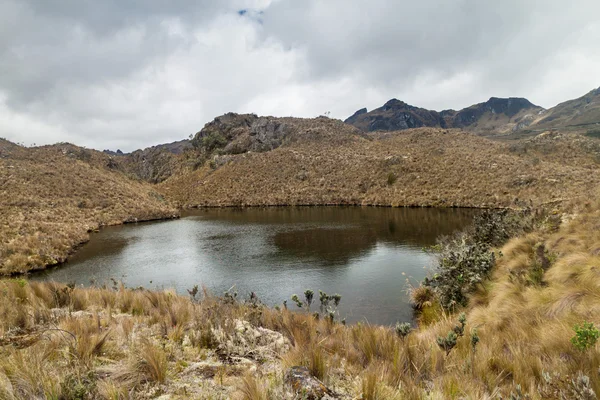 Cajas im Nationalpark — Stockfoto