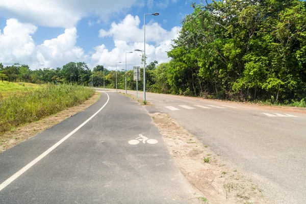 Carretera con carril bici —  Fotos de Stock