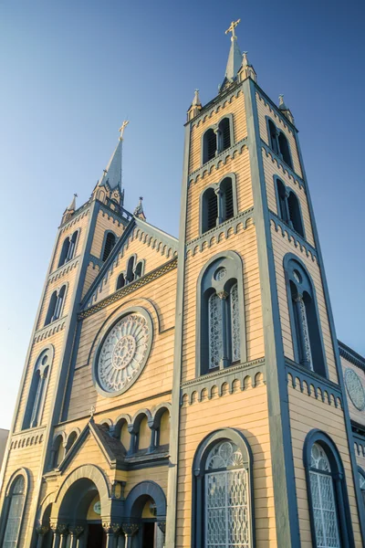 Sint Petrus en Paulus kathedraal in Paramaribo — Stockfoto