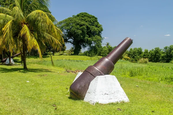 Cannons at Fort Nieuw Amsterdam — Stock Photo, Image