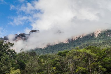 Tepui (Masa Dağı) Auyan