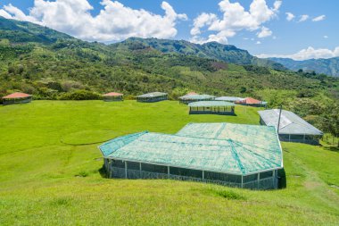 Antik mezarlar koruyucu çatılarda