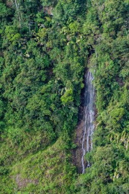 Şelale bir vadi Magdalena Nehri