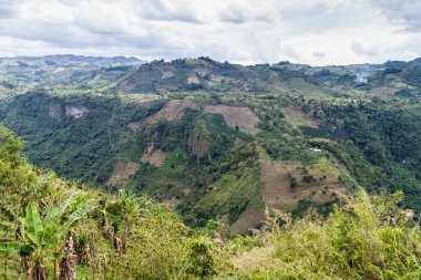 Vadi Magdalena Nehri 