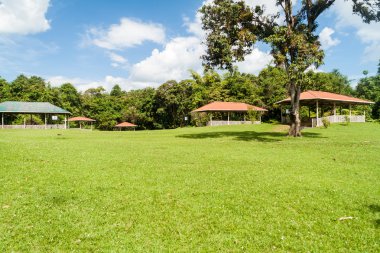 Heykellerin koruyucu çatılarda