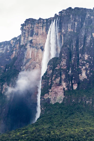Ангельский водопад (Сальто-Ангел) ) — стоковое фото