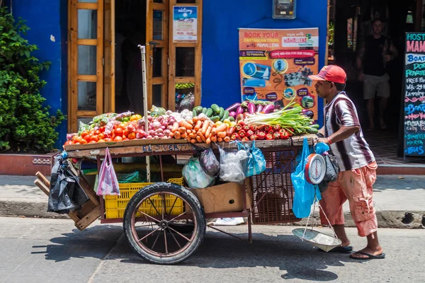 Vendor with the vegetable cart — Stock Photo, Image