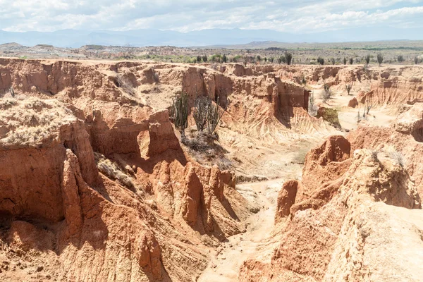 在哥伦比亚的 tatacoa 沙漠 — 图库照片