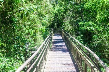 Tourist path in Iguazu National Park in Argentina clipart