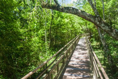 Visitor path in Iguazu National Park in Argentina clipart