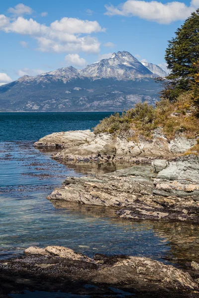 Lapataia Bay Nationalpark Feuerland Argentinien — Stockfoto