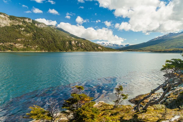 Baía Lapataia Parque Nacional Tierra Del Fuego Argentina — Fotografia de Stock