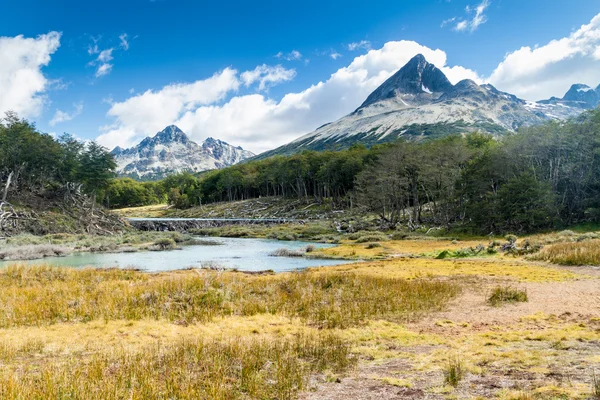 Bobří Hráz Tierra Del Fuego Argentina — Stock fotografie