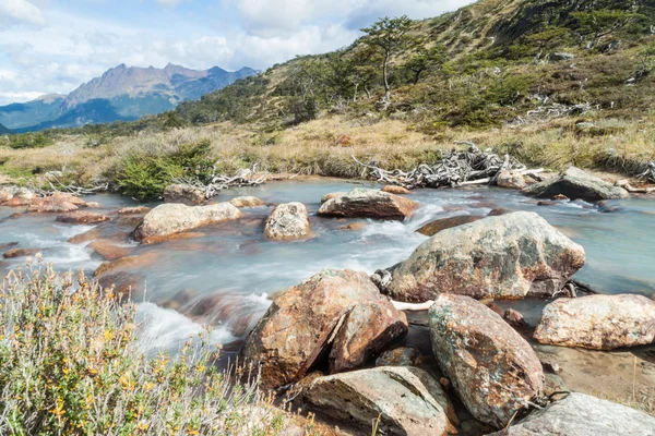 Creek Στην Του Πυρός Αργεντινή — Φωτογραφία Αρχείου